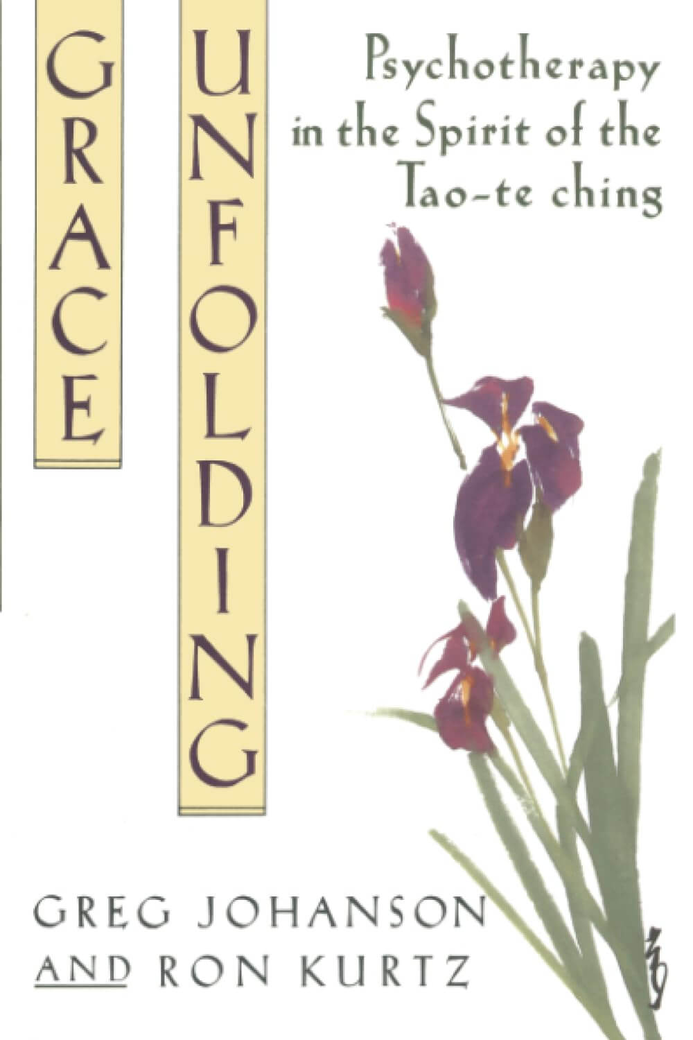 book cover: Grace Unfolding: Psychotherapy in the Spirit of Tao-te ching