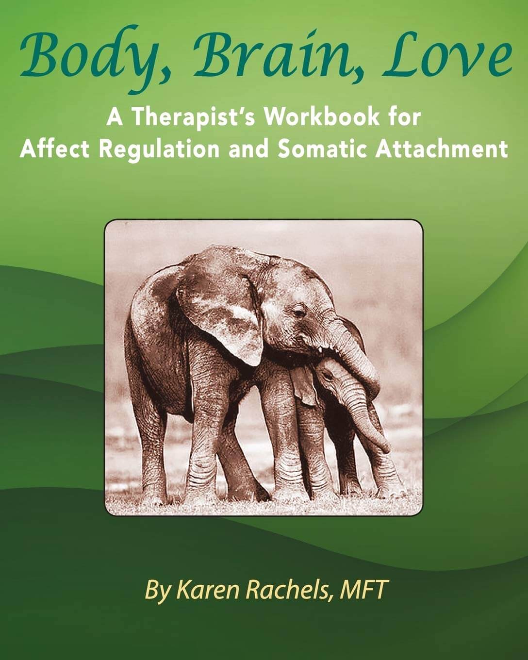 book cover: Body, Brain, Love: A Therapist's Workbook for Affect Regulation and Somatic Attachment