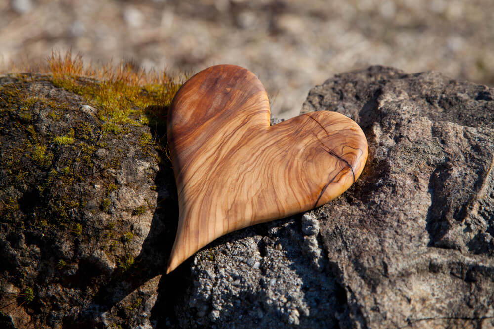 heart shaped wood on the beach