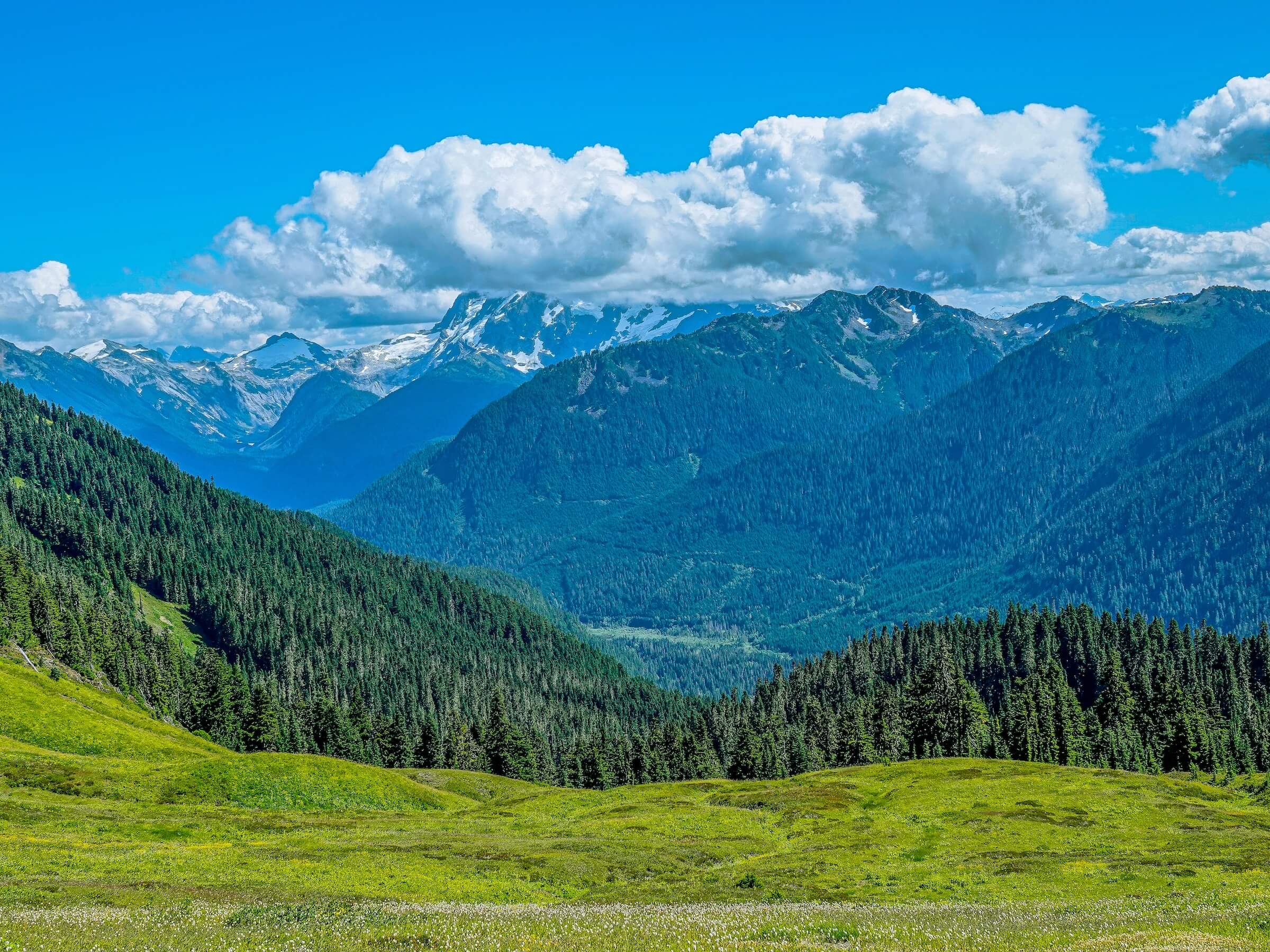 mountains represent the pacific northwest